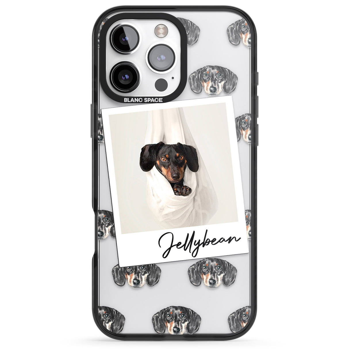 Personalised Dachshund, Black- Dog Photo