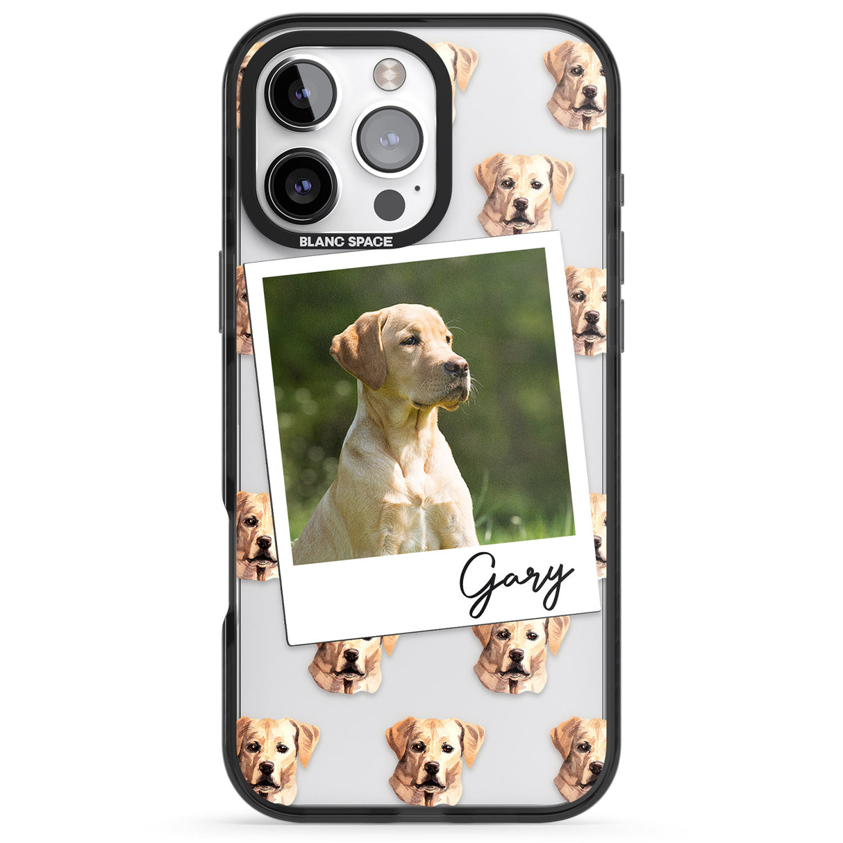 Personalised Labrador, Tan - Dog Photo