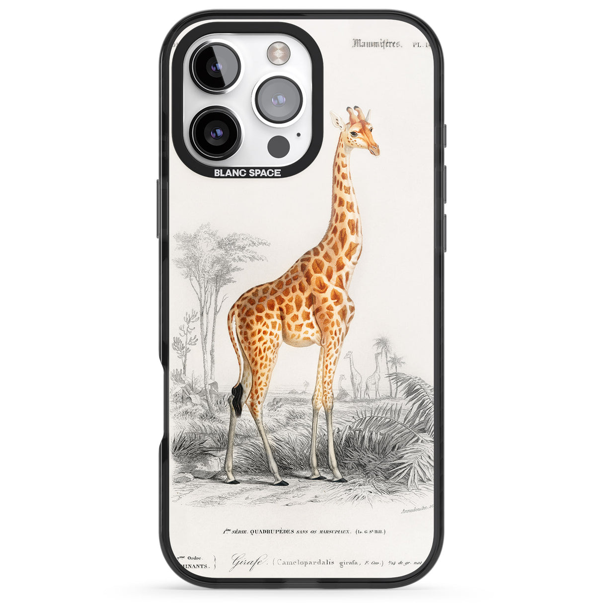 iPhone 16 Pro Max Vintage Girafe Art Black Impact Phone Case