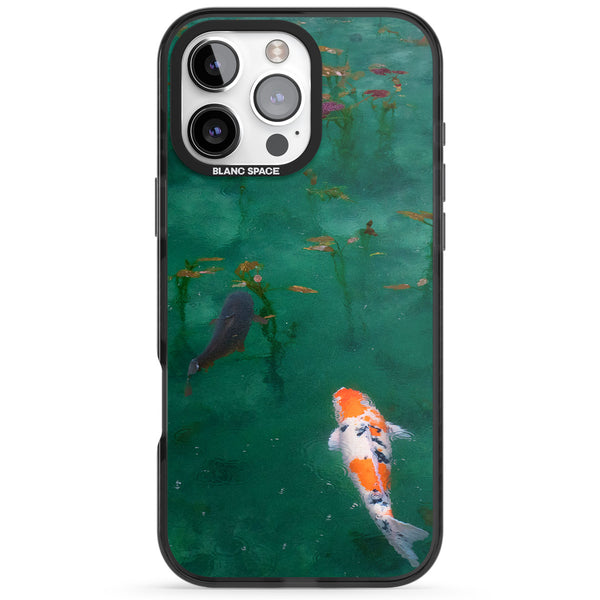 Koi Fish