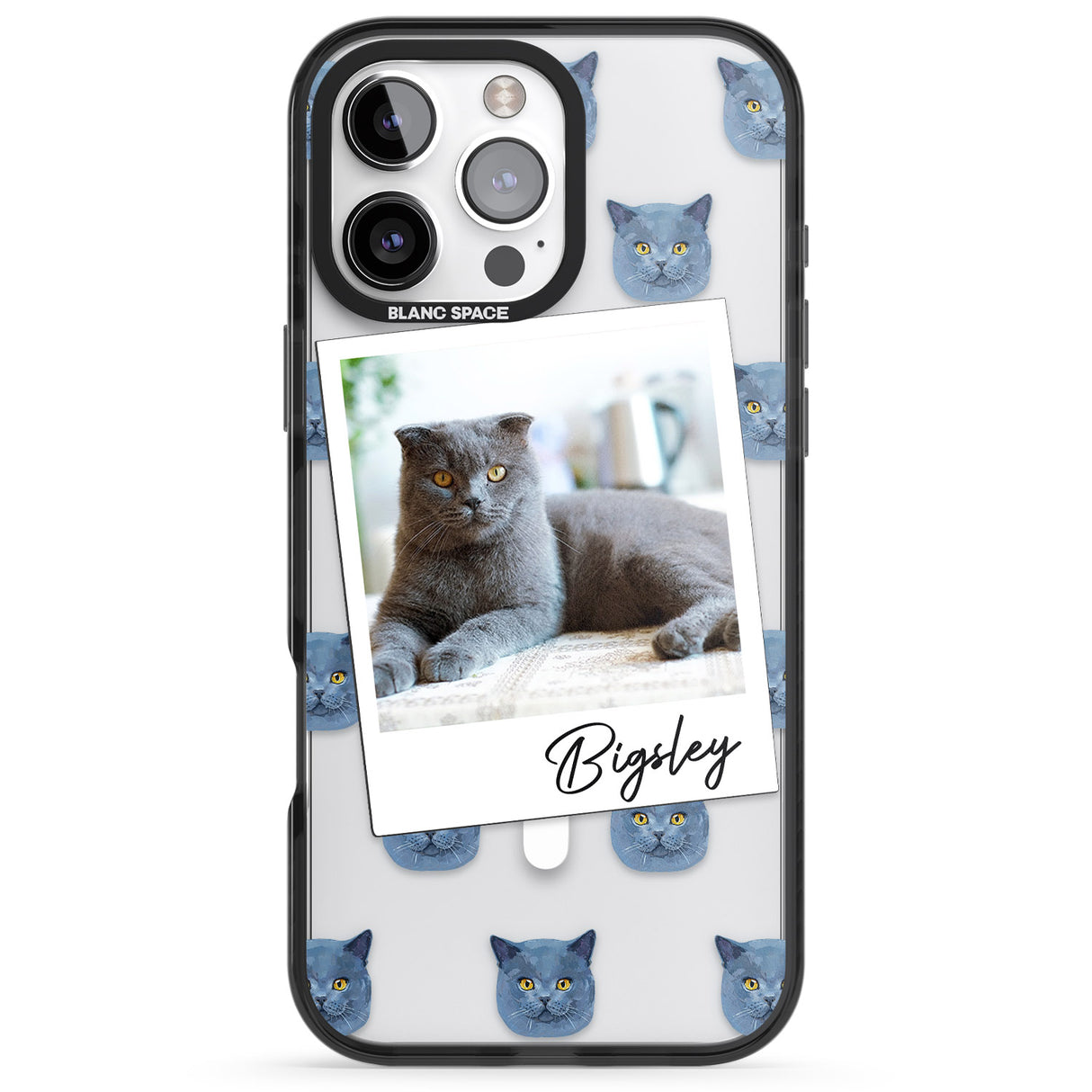 Personalised English Blue Cat Photo