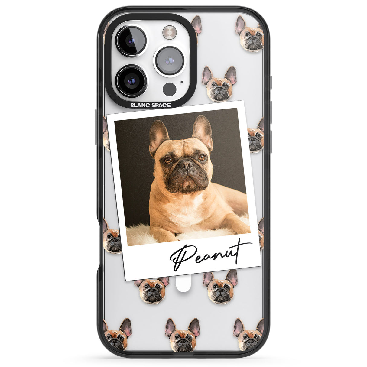 Personalised French Bulldog, Tan - Dog Photo