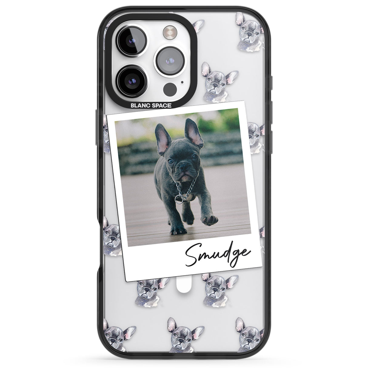 Personalised French Bulldog, Grey - Dog Photo