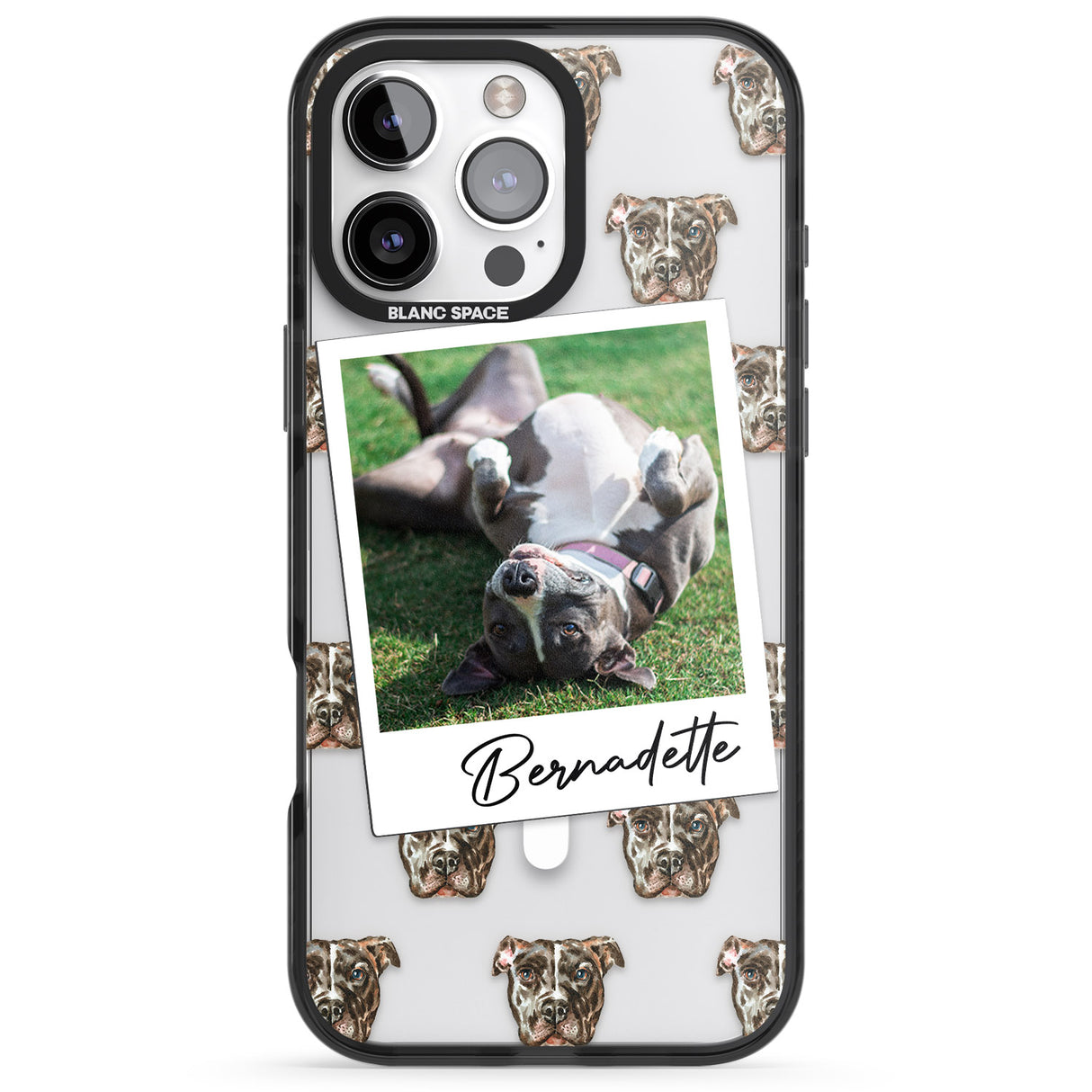 Personalised Staffordshire Bull Terrier - Dog Photo