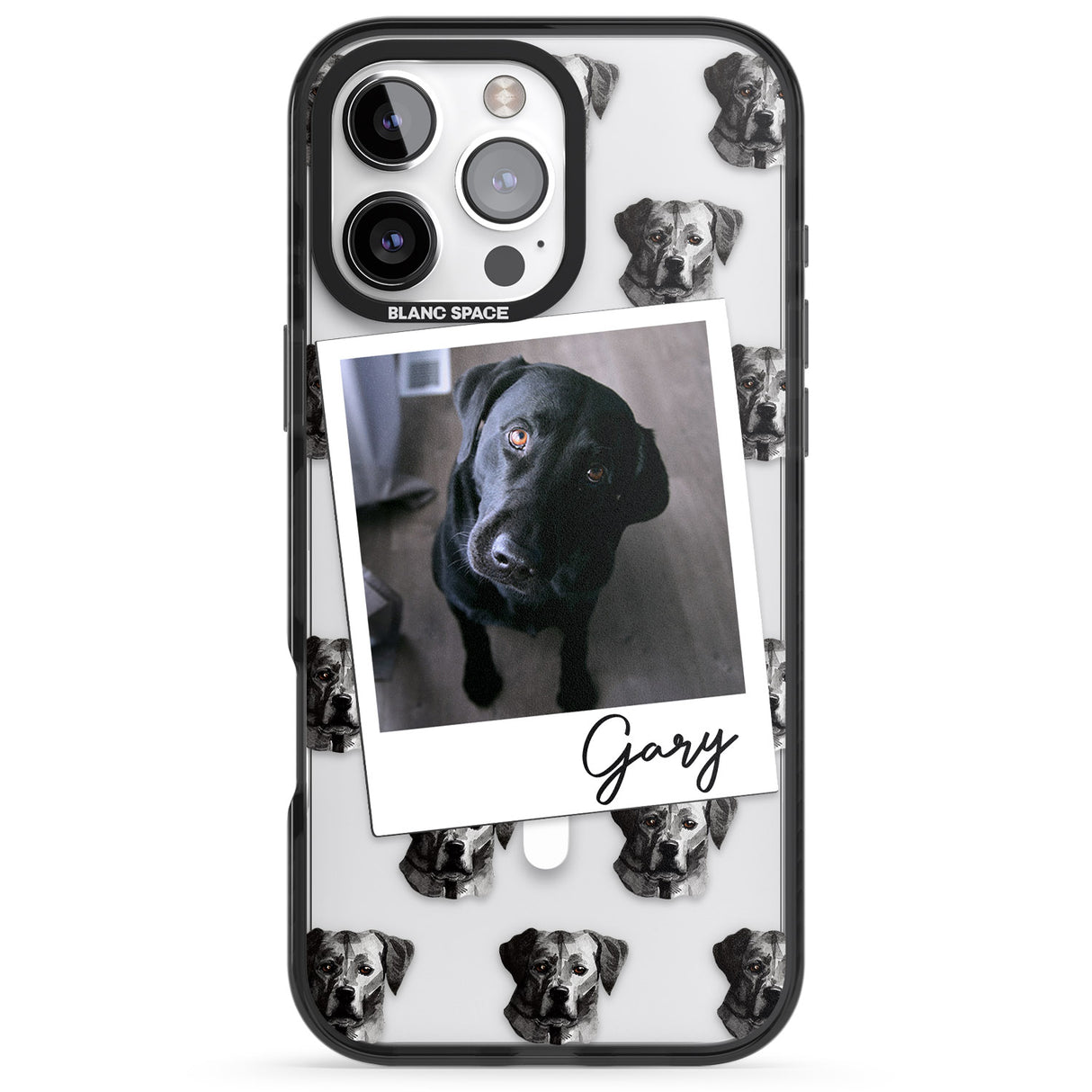 Personalised Labrador, Black - Dog Photo