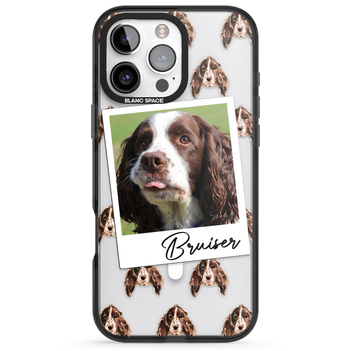 Personalised Springer Spaniel - Dog Photo