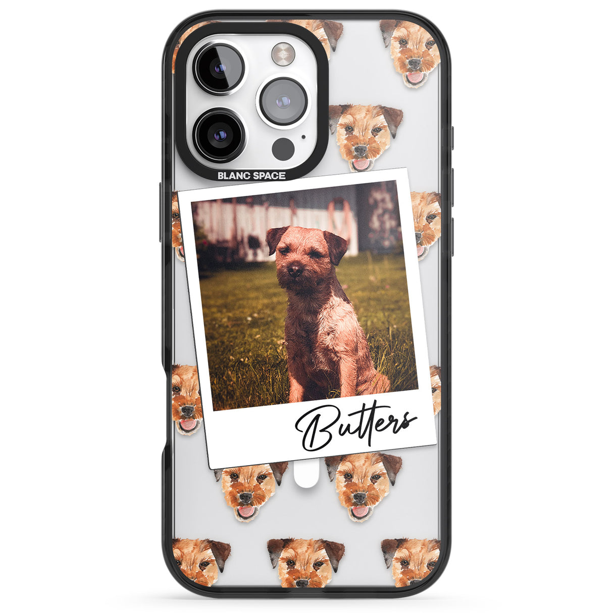 Personalised Border Terrier - Dog Photo