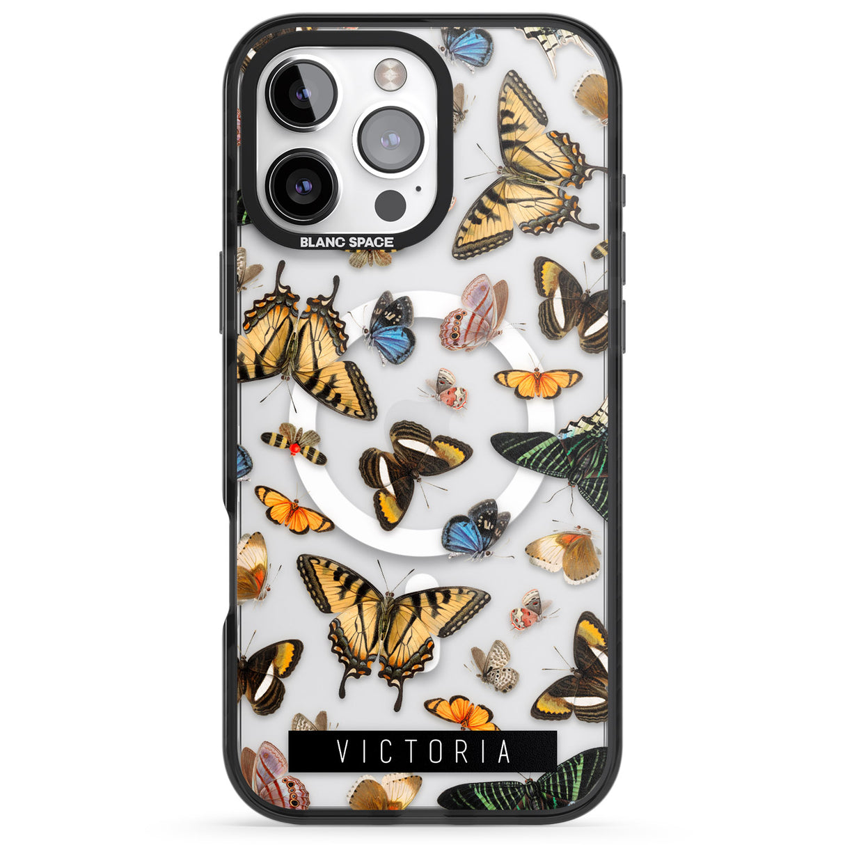 Personalised Photorealistic Butterfly