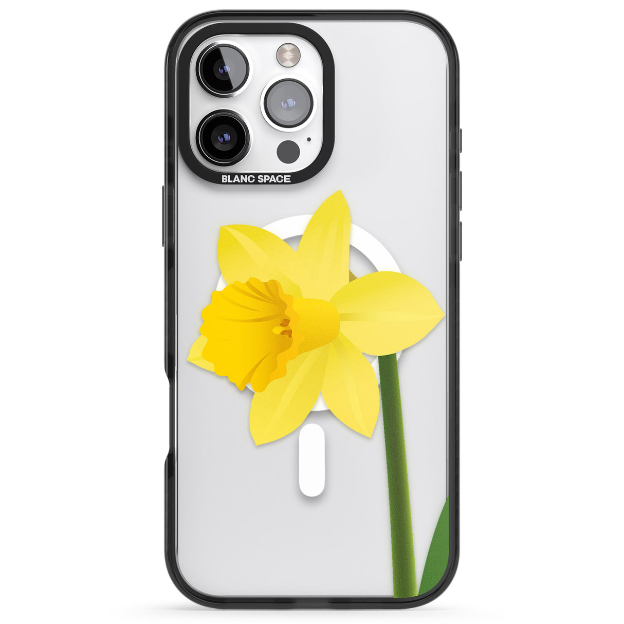 Daffodil