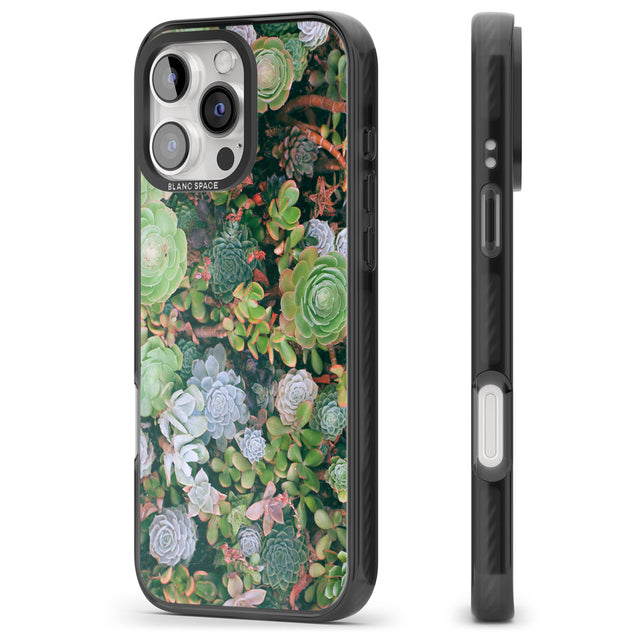 iPhone 16 Pro Max Colourful Succulents Photograph Black Impact Phone Case