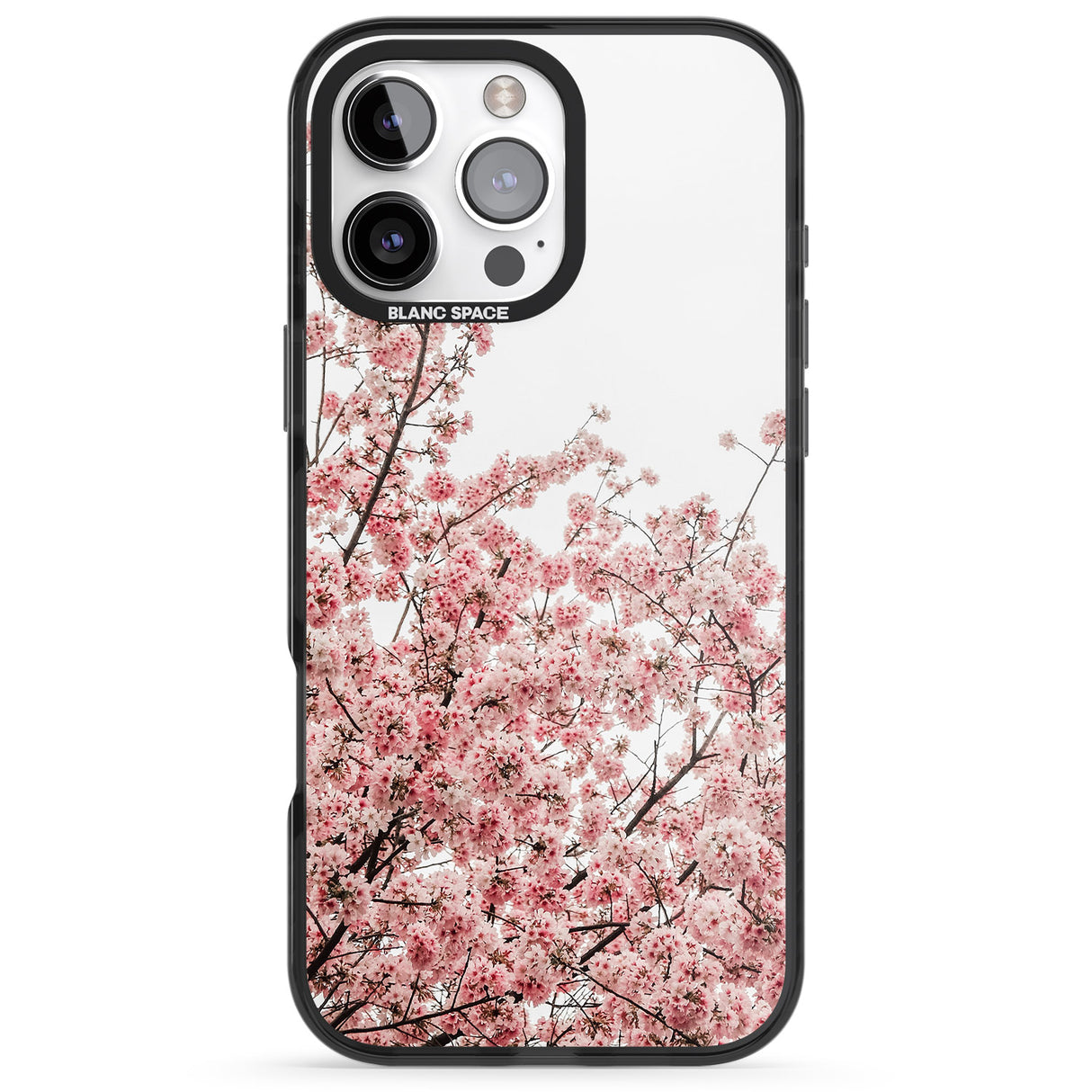 Cherry Blossoms - Real Floral Photographs