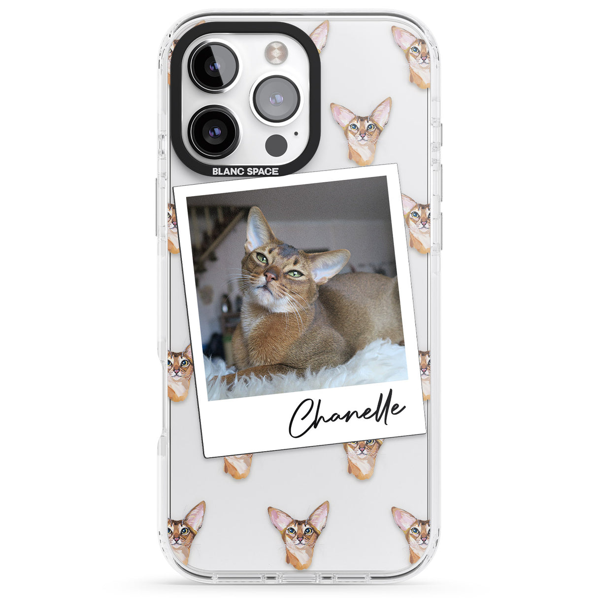 Personalised Abyssinian Cat Photo