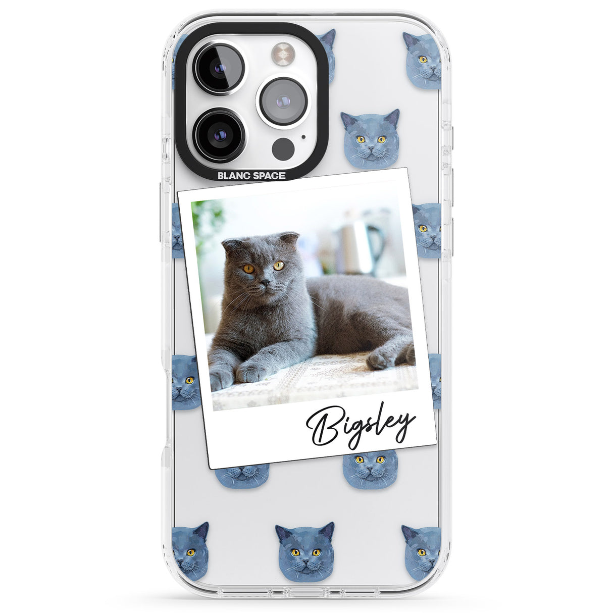 Personalised English Blue Cat Photo