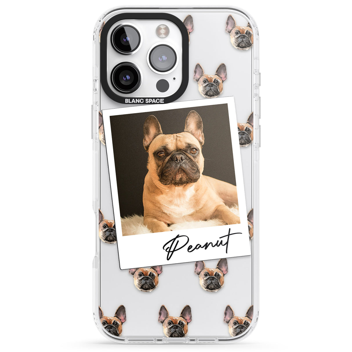 Personalised French Bulldog, Tan - Dog Photo