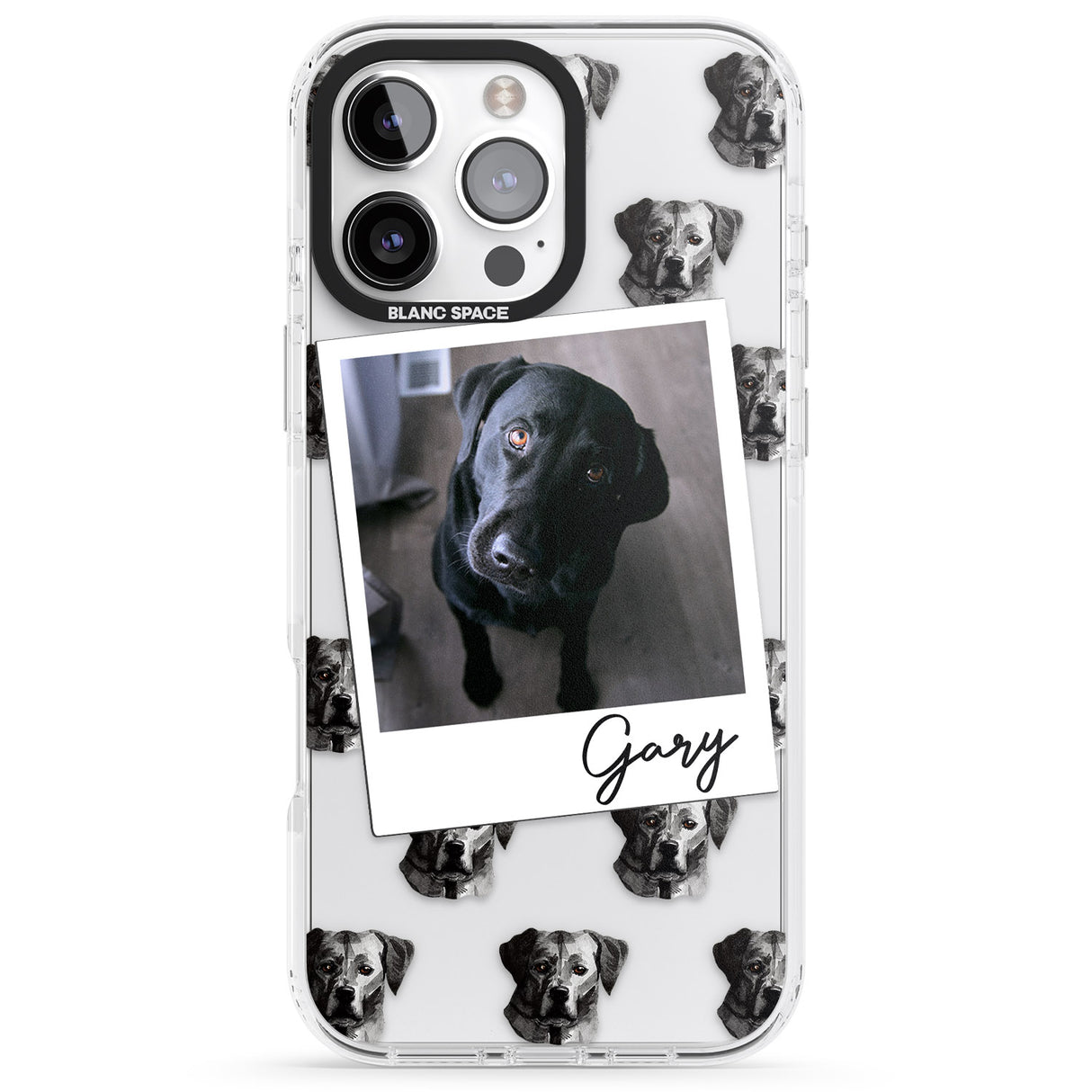 Personalised Labrador, Black - Dog Photo