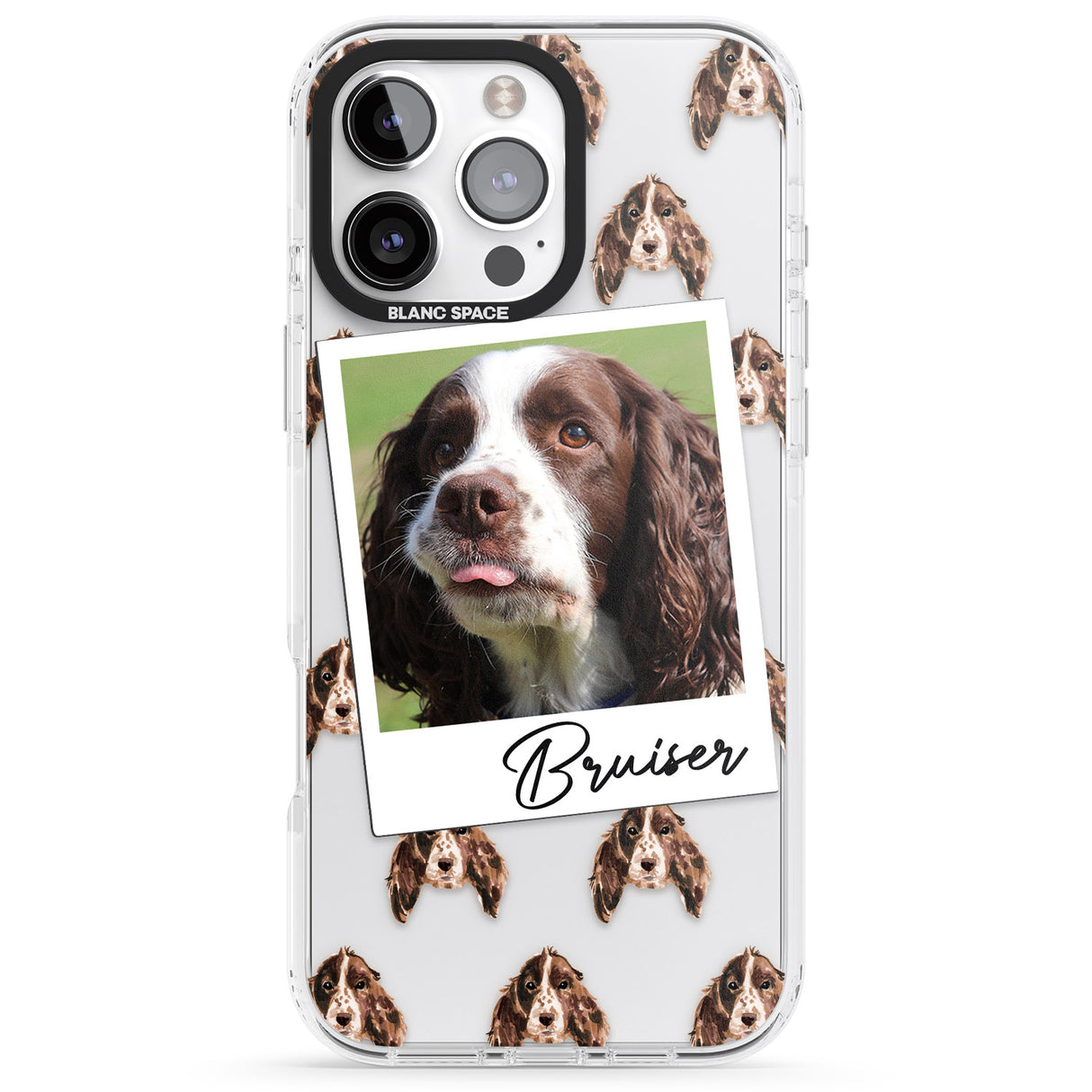 Personalised Springer Spaniel - Dog Photo