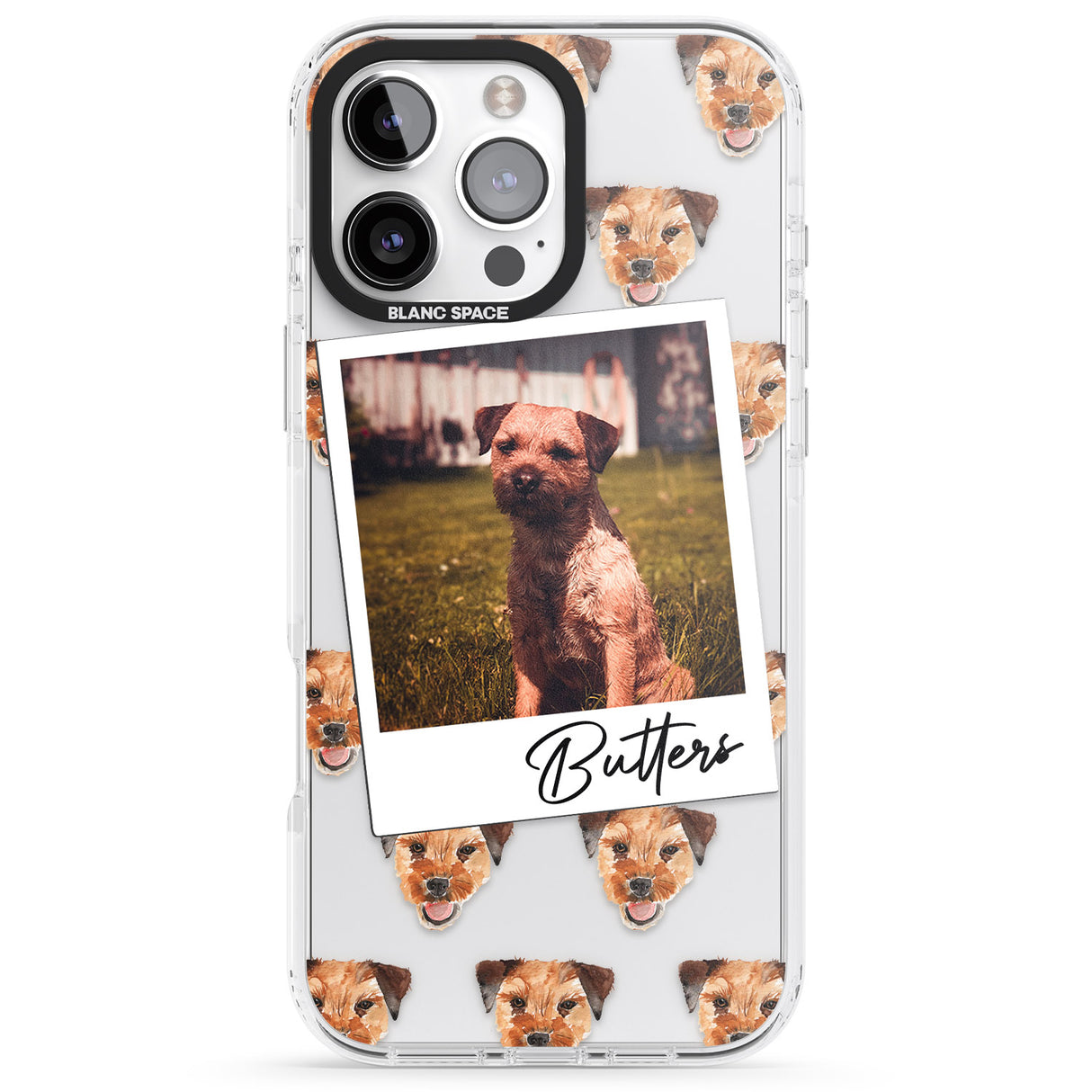 Personalised Border Terrier - Dog Photo