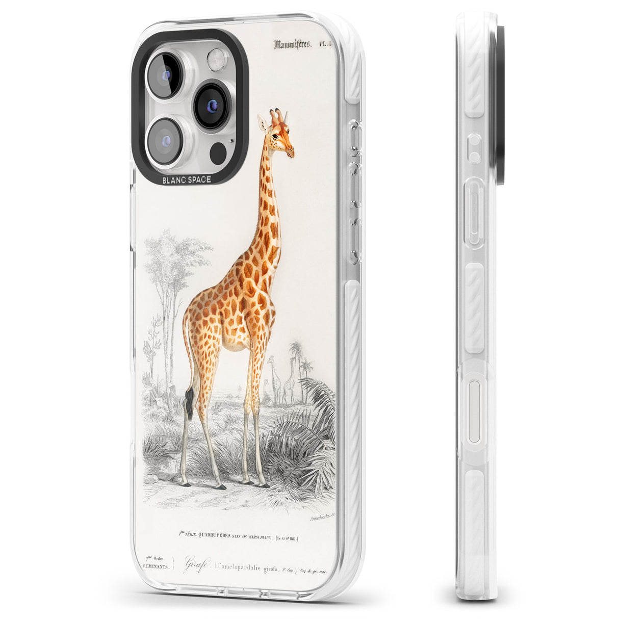 iPhone 16 Pro Max Vintage Girafe Art Black Impact Phone Case