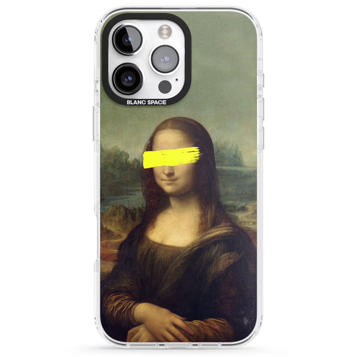 VANDALED MONA LISA