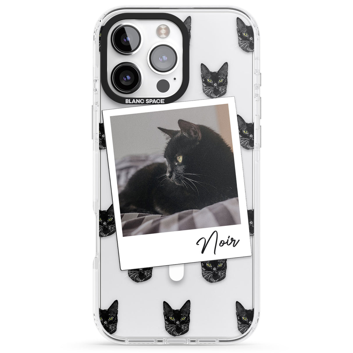 Personalised Bombay Cat Photo