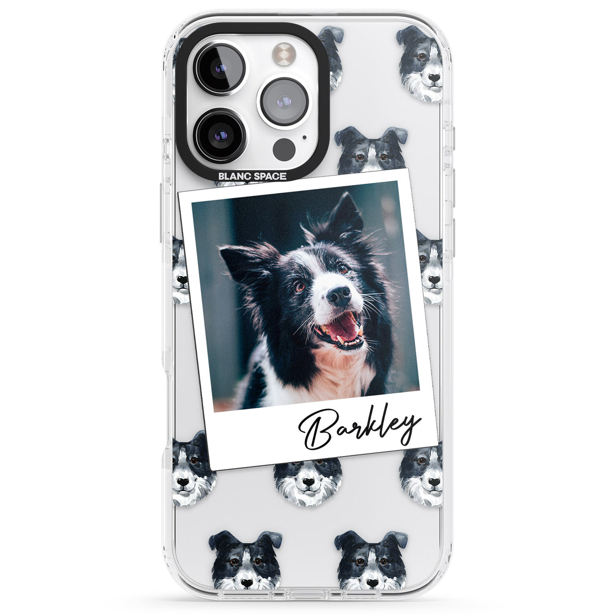 Personalised Border Collie - Dog Photo