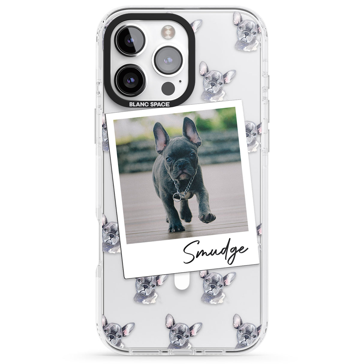 Personalised French Bulldog, Grey - Dog Photo