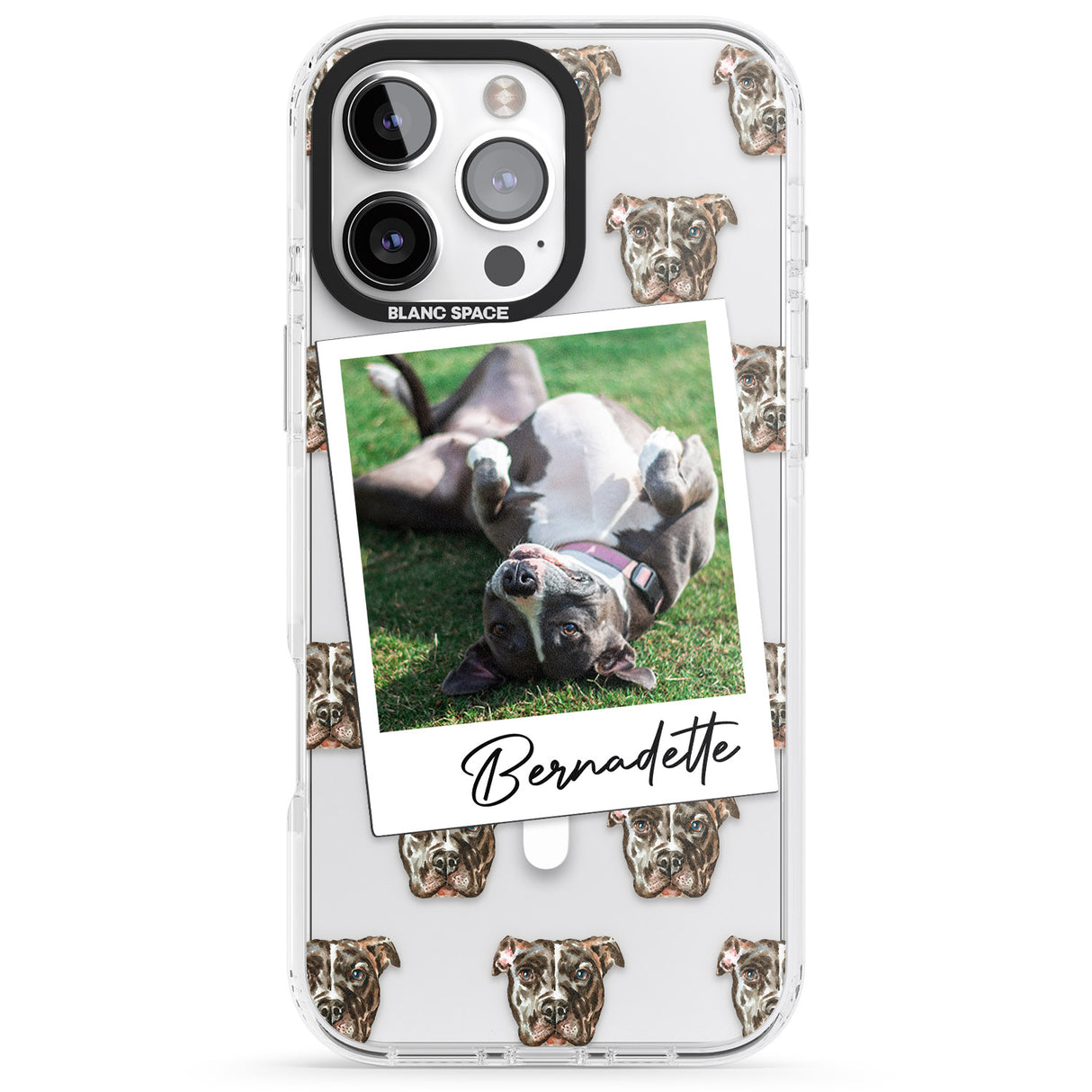 Personalised Staffordshire Bull Terrier - Dog Photo