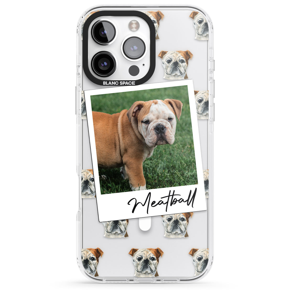 Personalised English Bulldog - Dog Photo