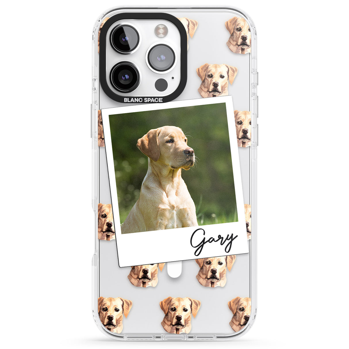 Personalised Labrador, Tan - Dog Photo