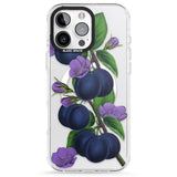 iPhone 16 Pro Max Vintage Painted Plums Black Impact Phone Case + Magsafe