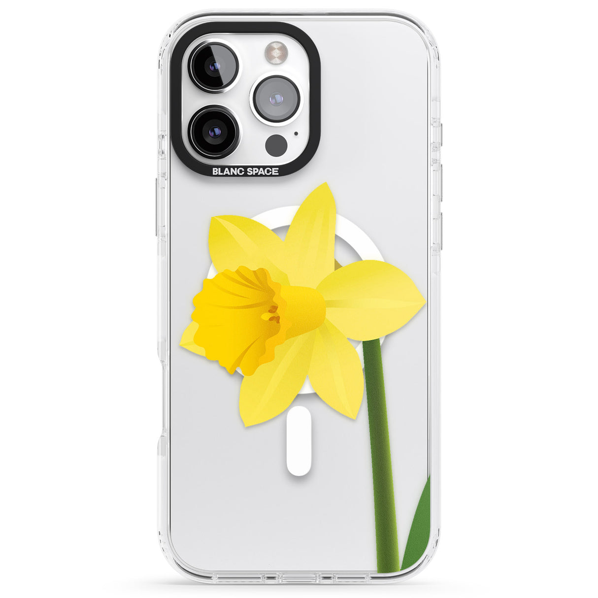 Daffodil