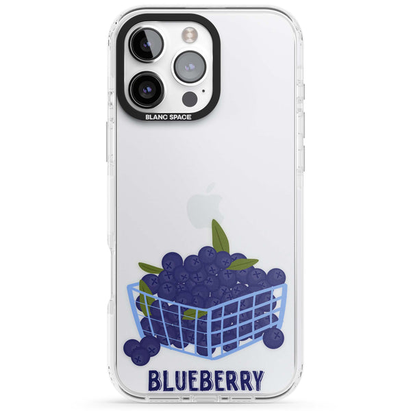 Blueberry Basket
