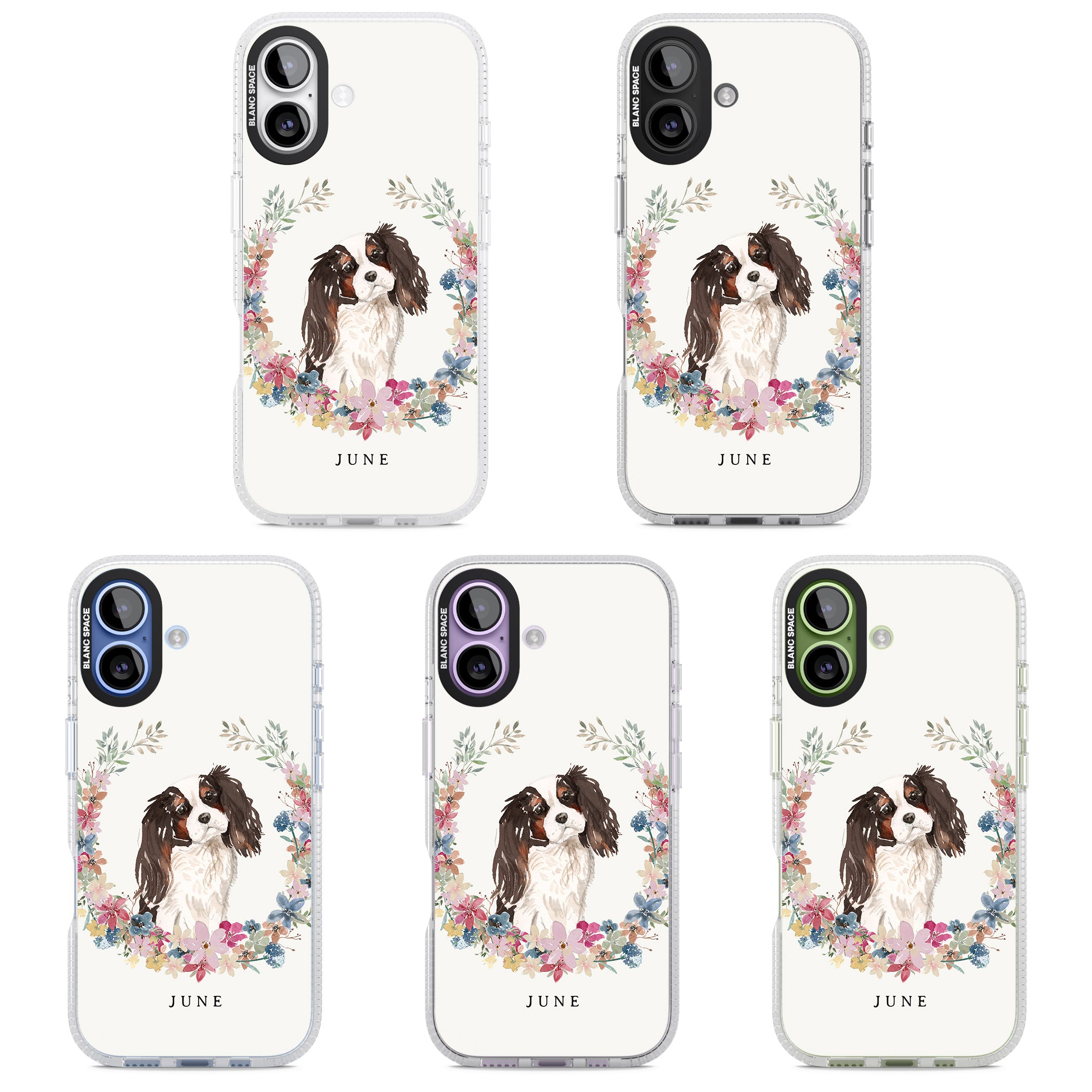 Personalised King Charles Floral Portrait iPhone 17 Impact Air Clear Phone Case APT Impact Protection