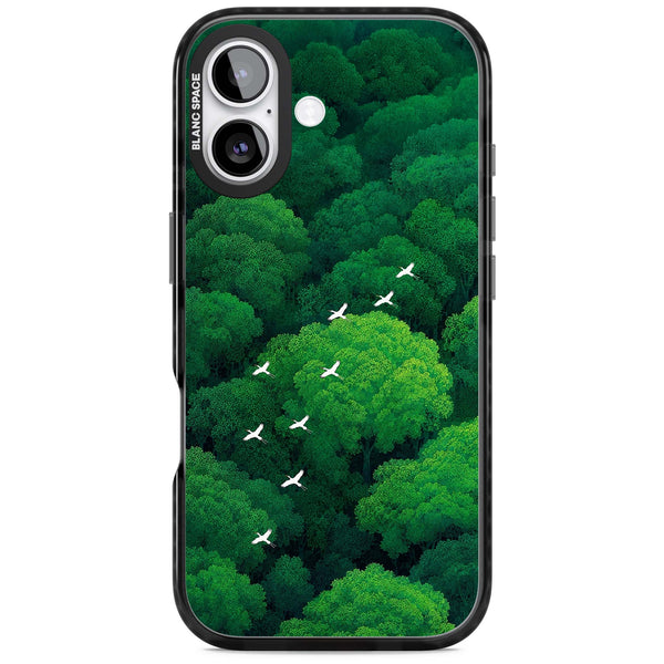 Grove Migration