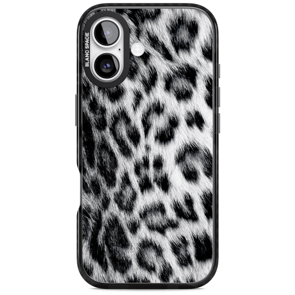 Snow Leopard
