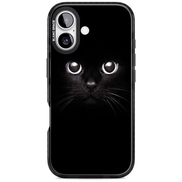 Black Cat