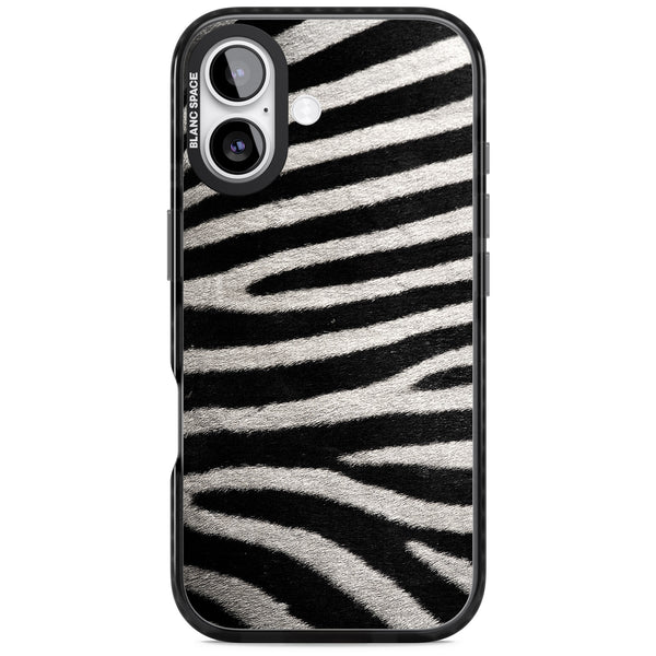 Zebra Print