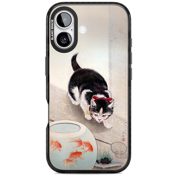 Cat & Goldfish Bowl