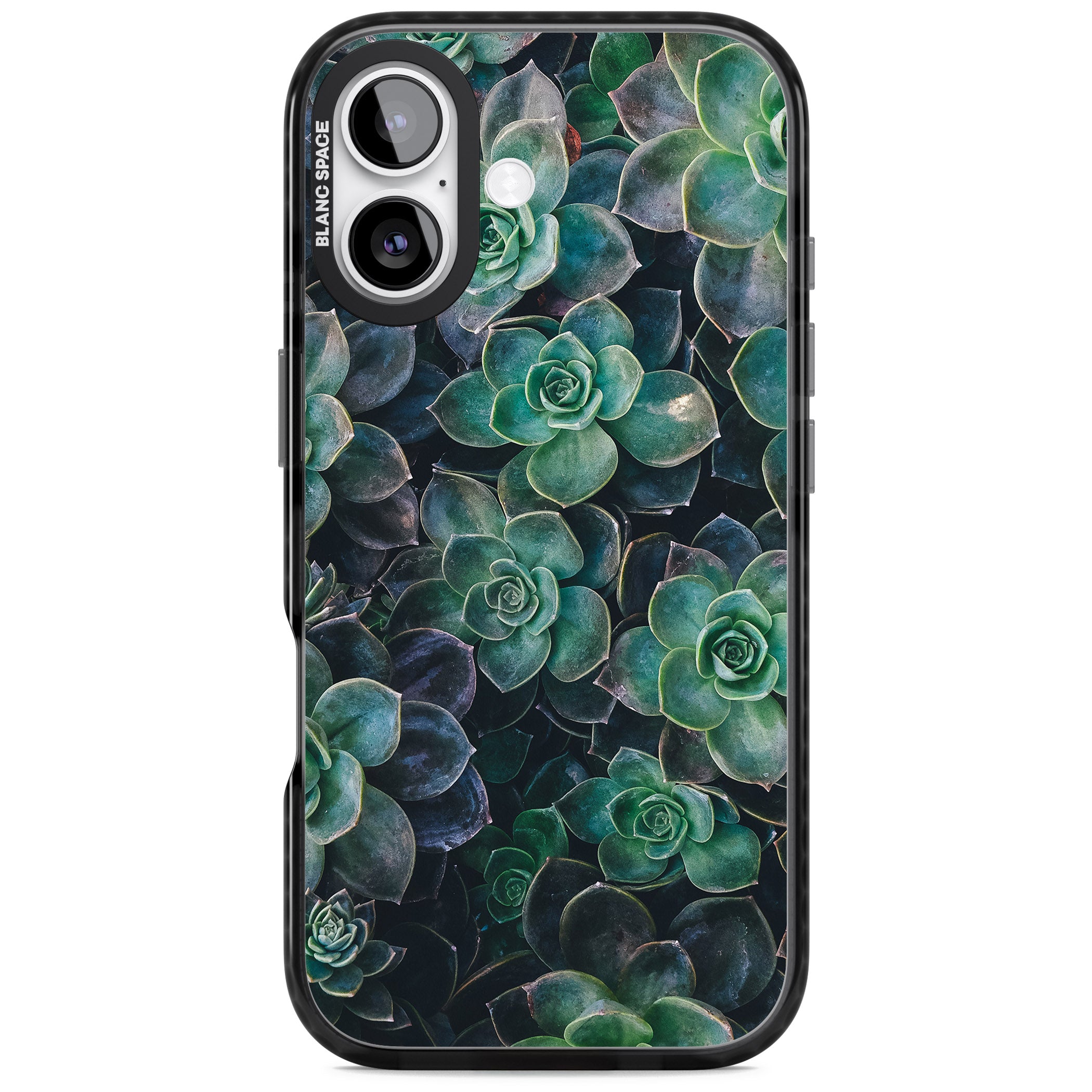 Succulent Bloom Botanical iPhone 17 Impact Pro Black Phone Case