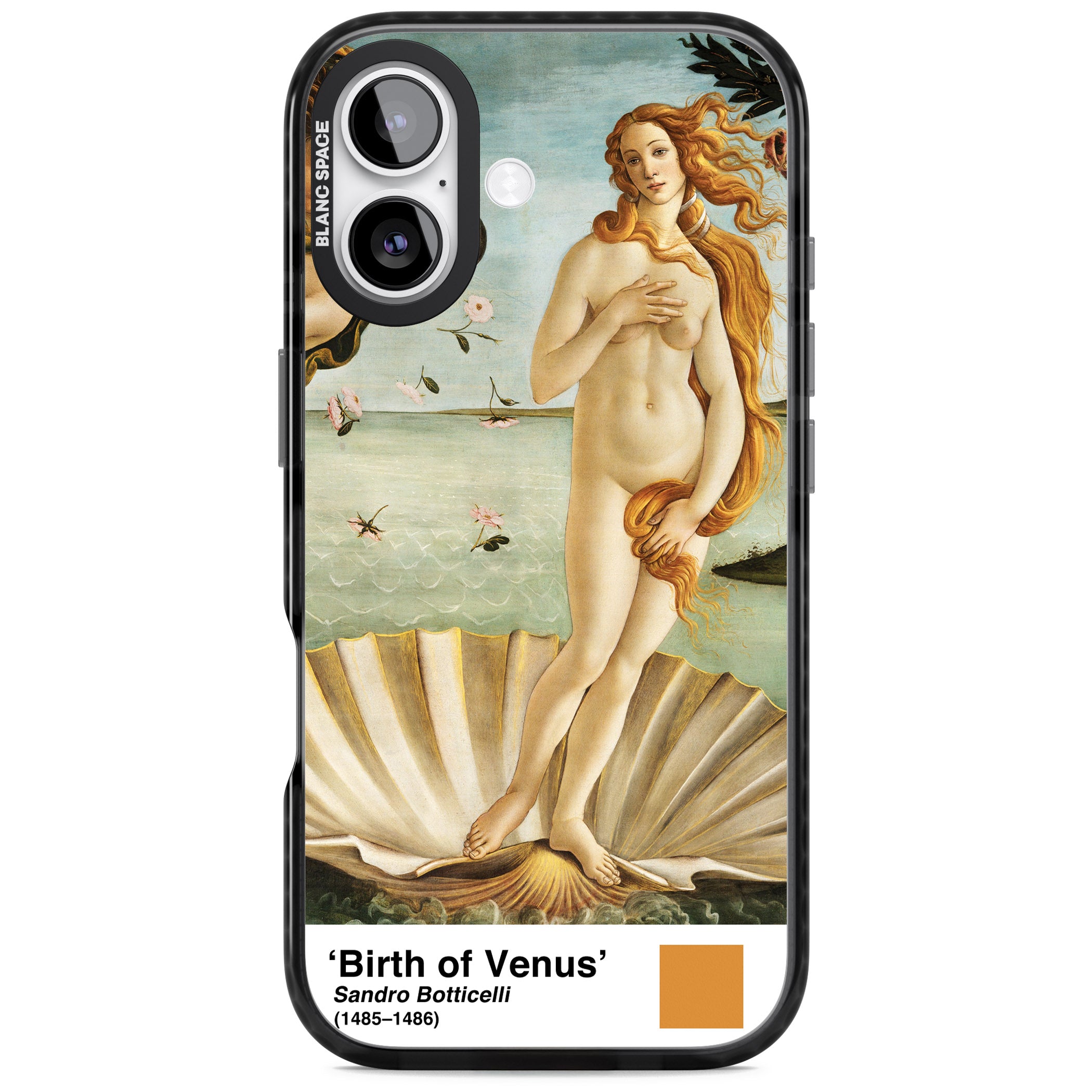 The Birth Of Venus iPhone 17 Impact Pro Black Phone Case