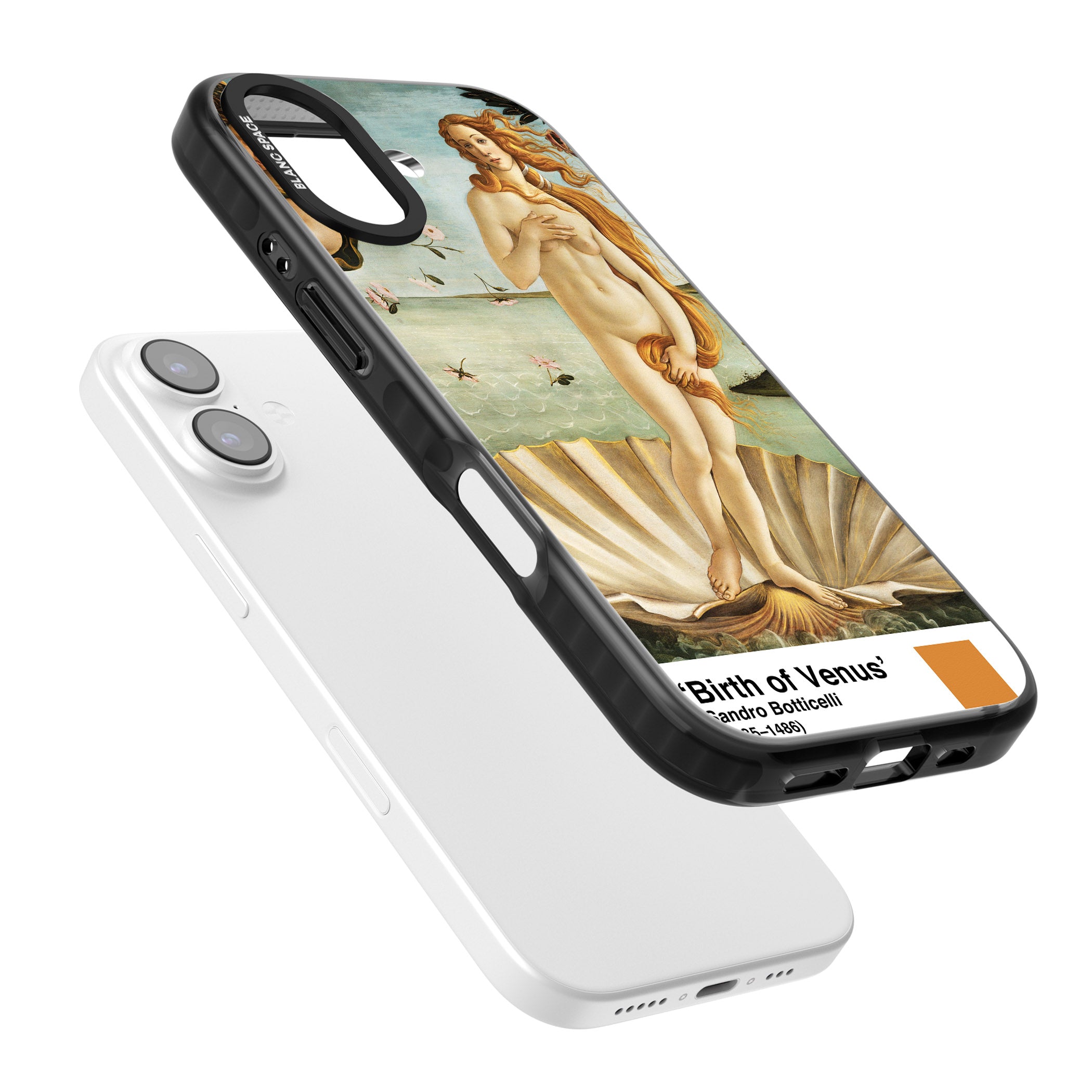 The Birth Of Venus iPhone 17 Impact Pro Black Phone Case Colours