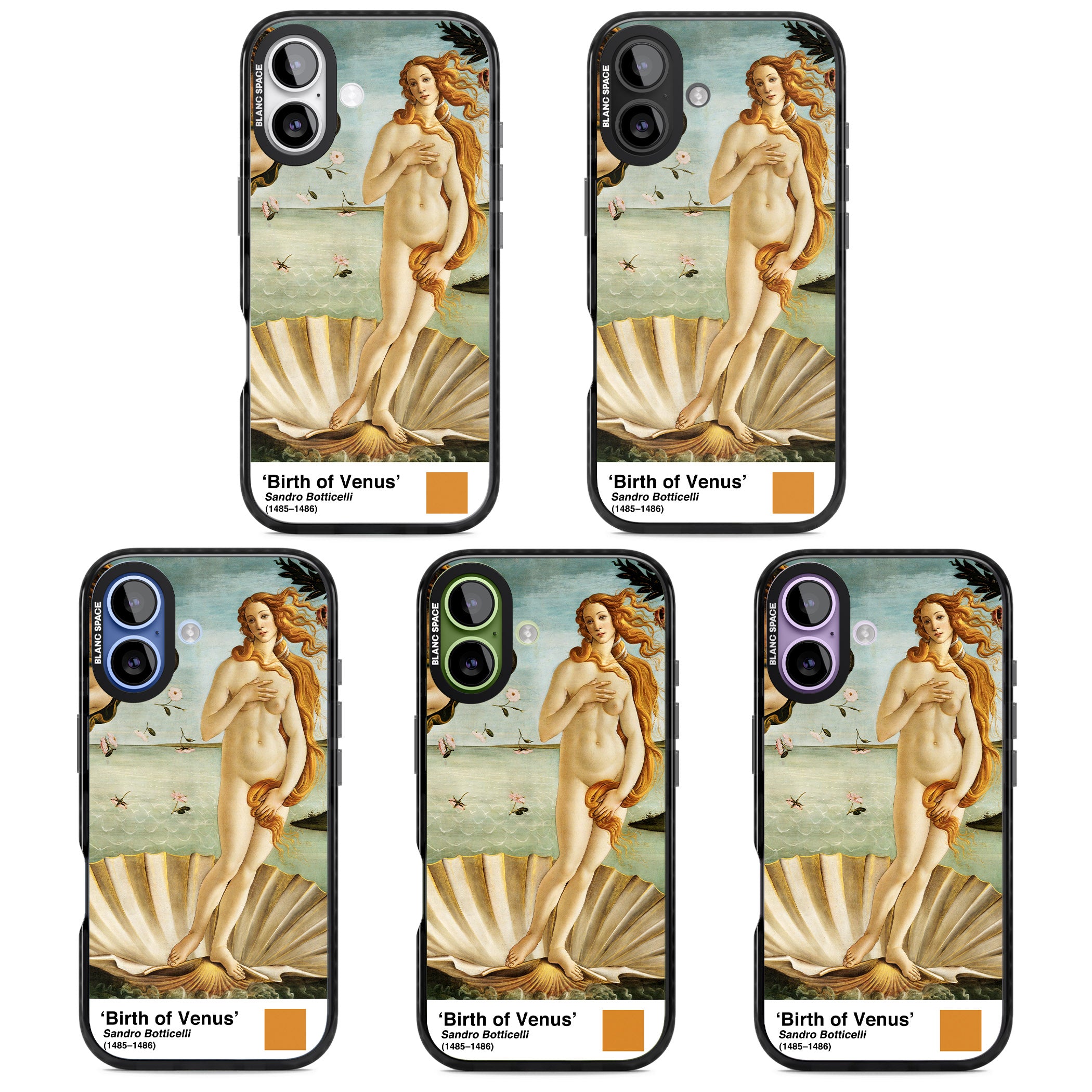 The Birth Of Venus iPhone 17 Impact Black Phone Case APT Impact Protection