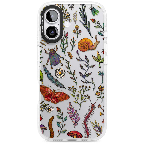 Bugs & Wildflowers