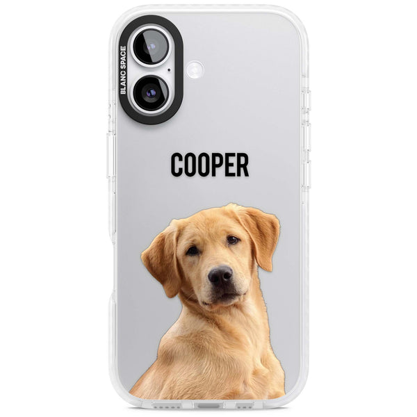 Personalised Pet Cutout & Name