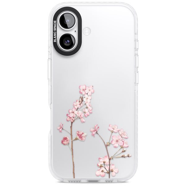 Blossom Flower