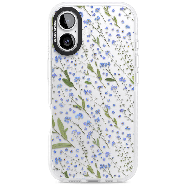 Blue Meadow