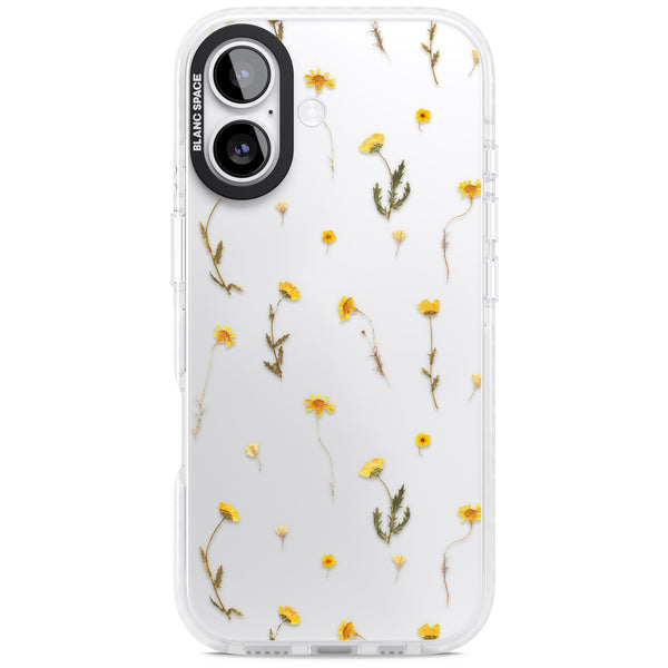 Yellow Wildflower