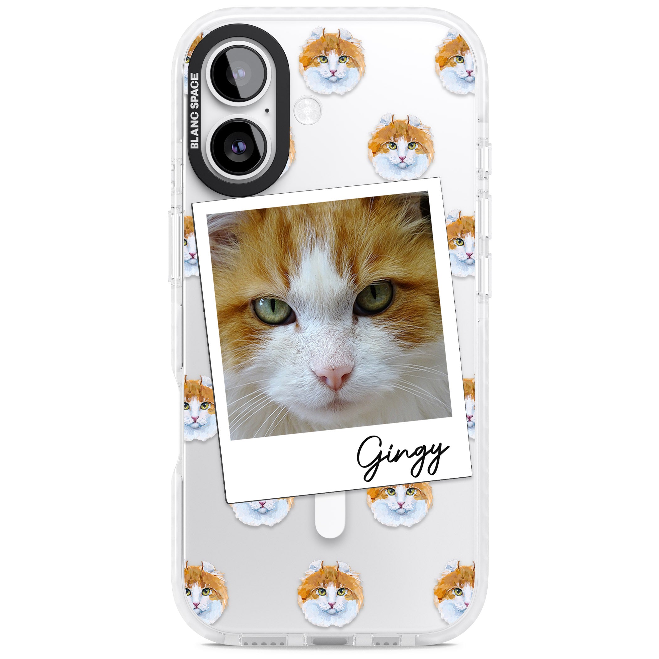 Personalised American Curl Photo iPhone 17 Impact Pro Clear Phone Case