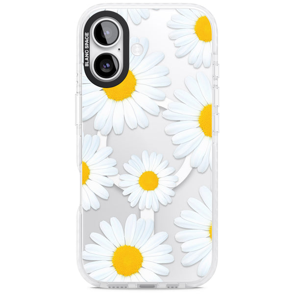 Summer Daisy