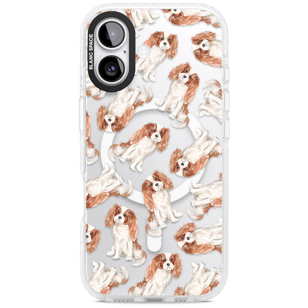 Cavalier King Charles Spaniel